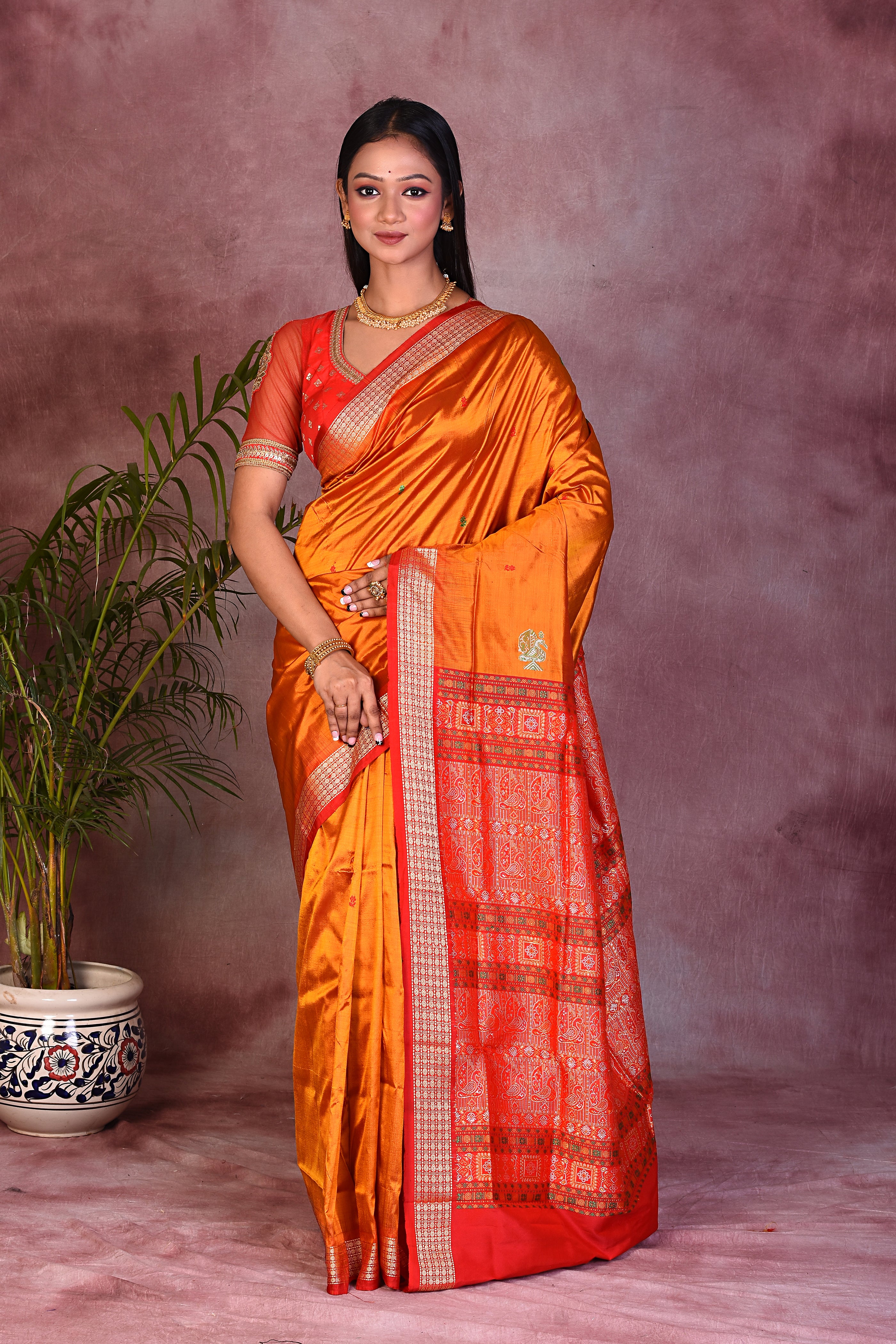 Elegant saree 